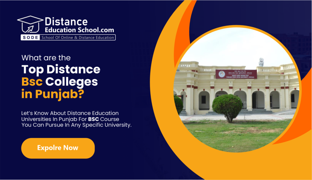 Distance BSc in Punjab