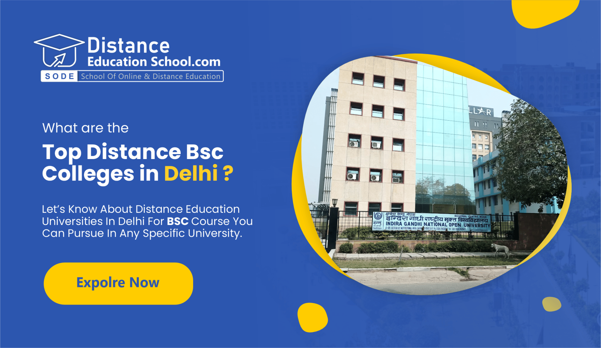 Distance MSc in Delhi